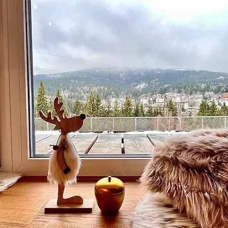 Alpina Mountain View * Spindleruv Mlyn